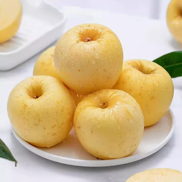 黄金维纳斯苹果皮薄苹果正宗纯甜