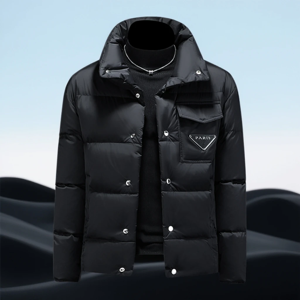 巴赛娜缇时尚厚款立领羽绒服男士青年抗寒保暖冬装潮牌鸭绒外套潮