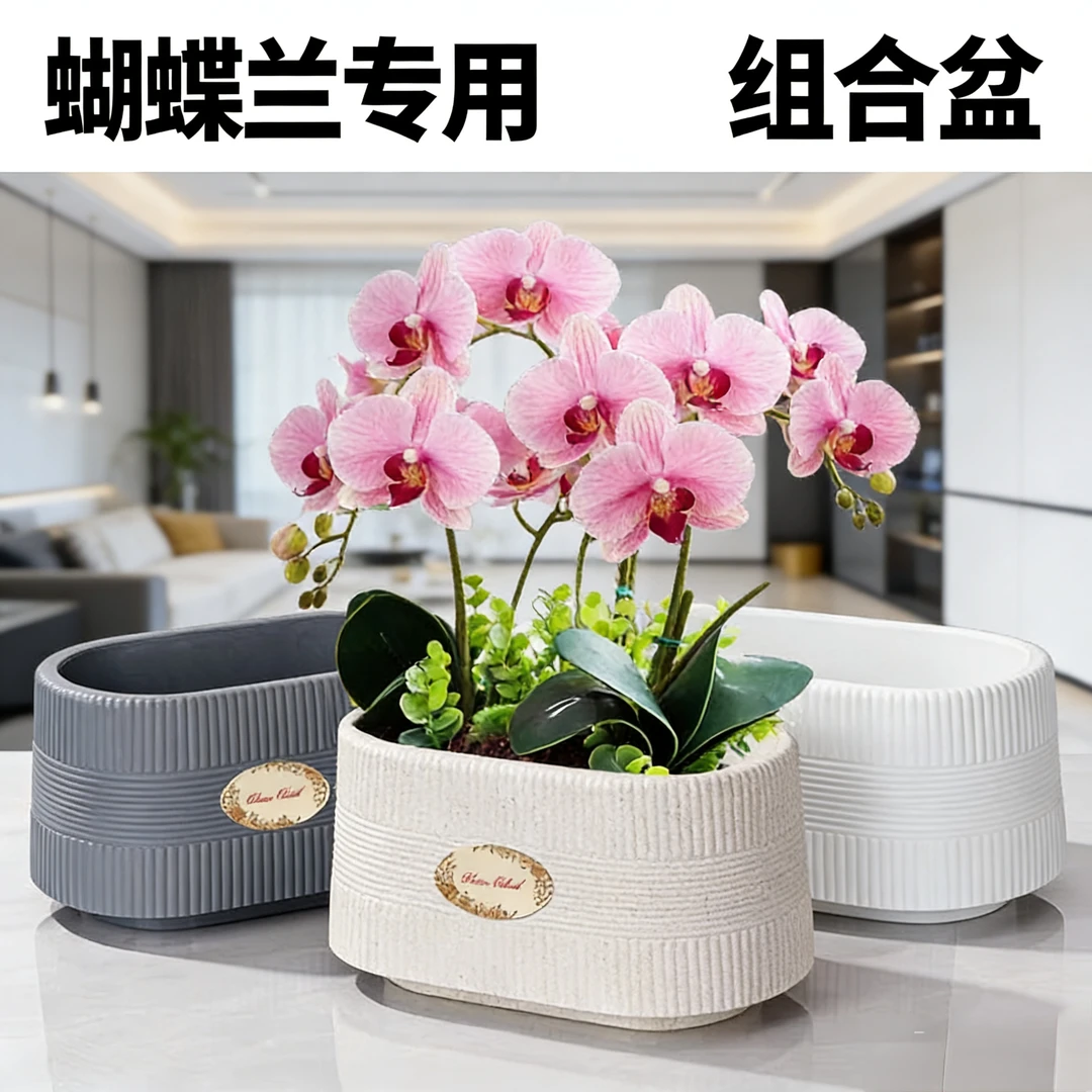蝴蝶兰花盆家用塑料树脂加厚耐用仿陶瓷花卉绿植专用套盆盆栽