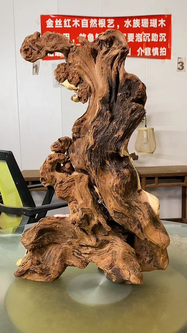 木聖****草金丝红木 羊蹄甲