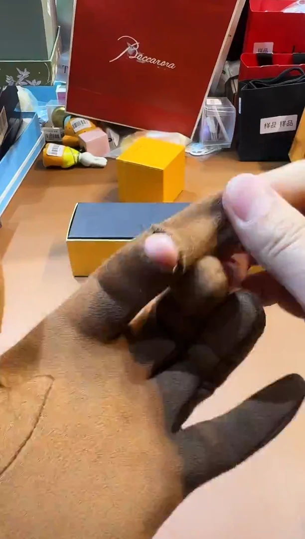 瓷片K626阿海专属，全场包邮