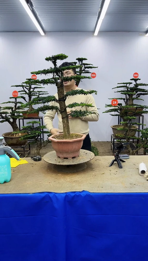 以实际为准一物一拍，所见即所得