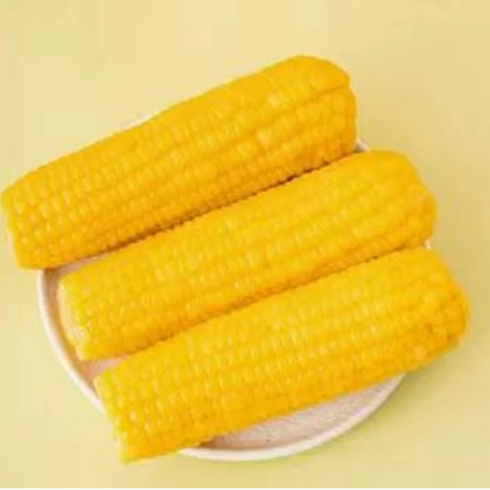 东北糯九黄糯玉米180克-280克整箱5斤12根含两根试吃