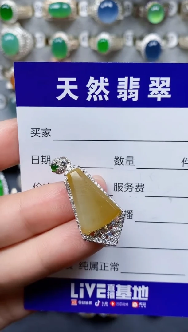 翡翠银S925镶嵌颈饰123