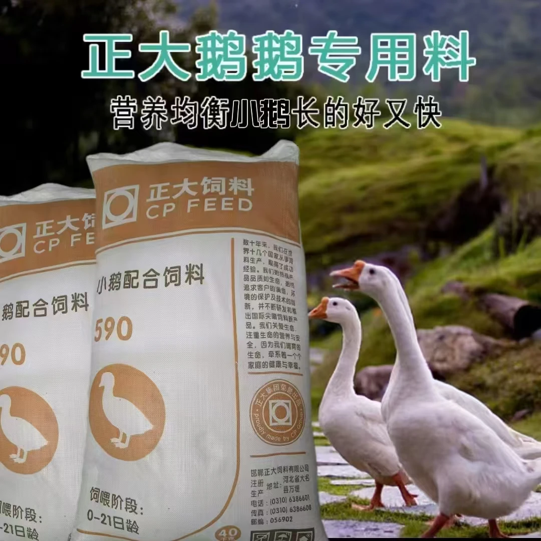正大590幼鹅开口破碎饲料小鹅100斤饲料正大592中大鹅饲料颗粒料