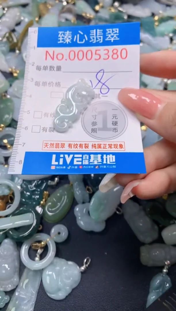 翡翠未镶嵌颈饰5380