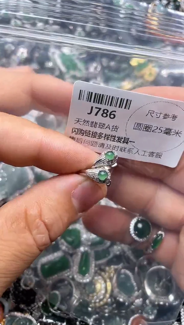 【闪购商品】翡翠颈饰未镶嵌J786耳扣