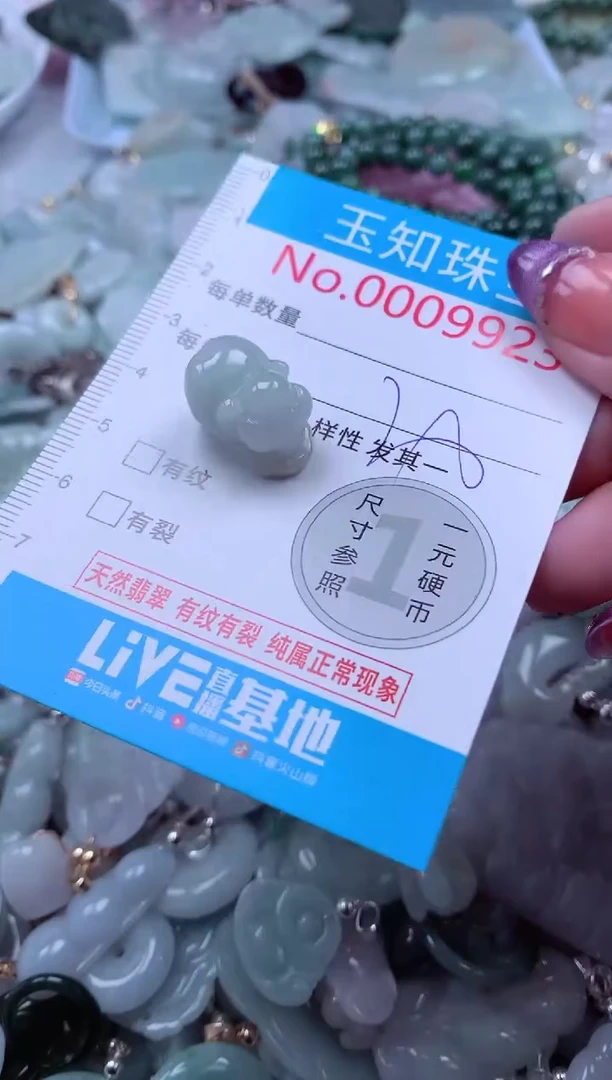 翡翠未镶嵌吊坠(不含链)9923