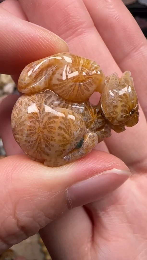 硅化珊瑚（珊瑚玉）未镶嵌颈饰134