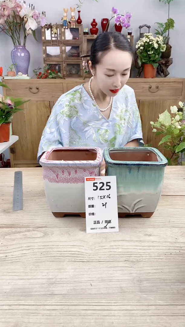 小玩子花盆直播号525