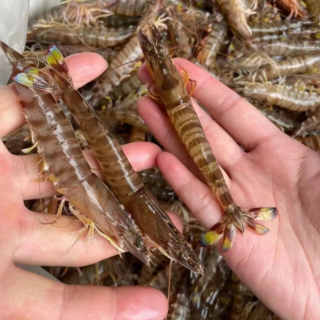 基围虾/竹节虾（每斤60只左右）2斤共2盒  鲜虾速冻发货 嫌小勿拍