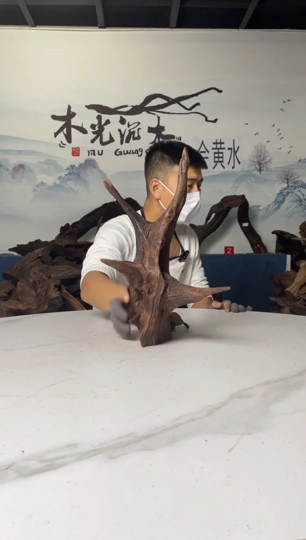 a592木光沉木木光沉木592