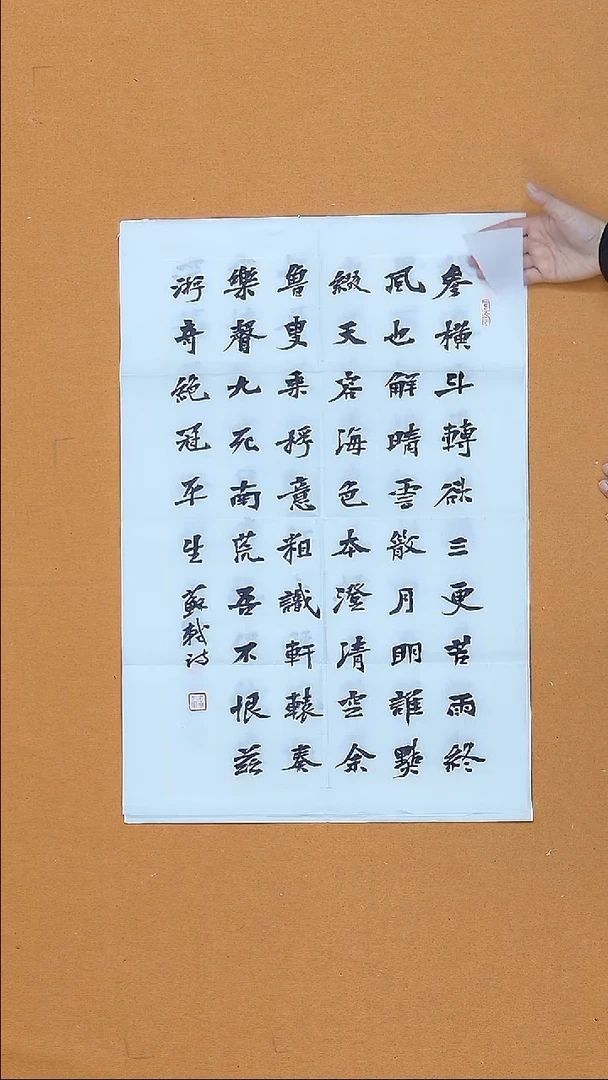 书法赵书中  黑龙江理S   45*68  有撕裂