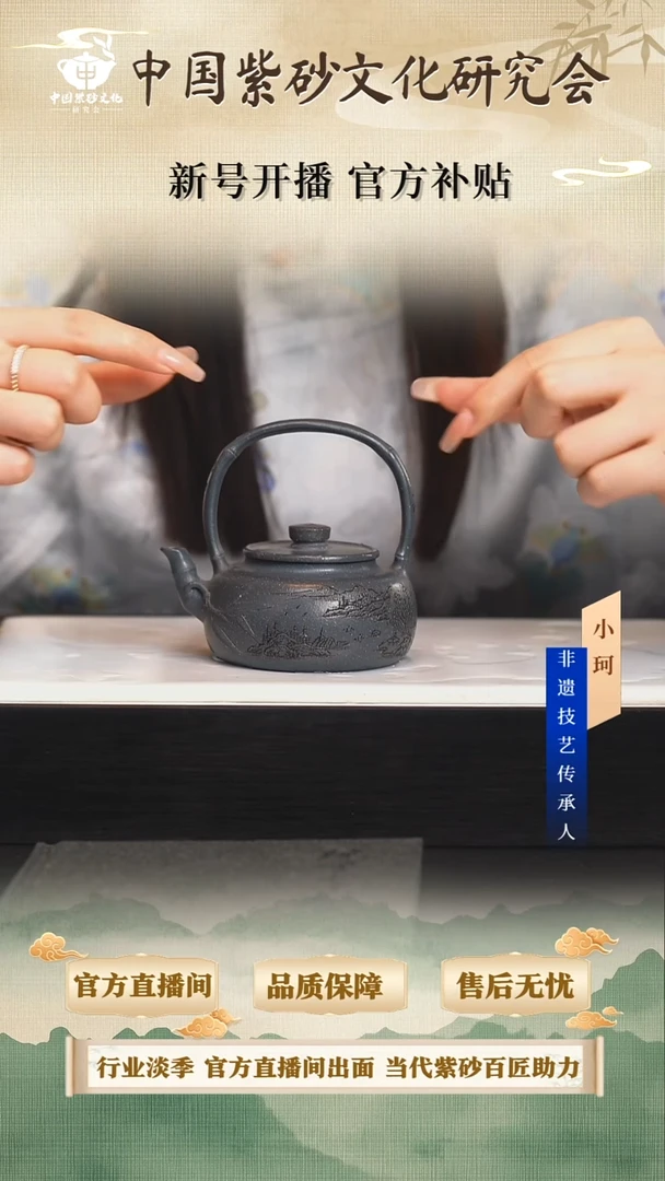 茶壶紫砂陶茶文化陈      蒋家绿泥220cc左右