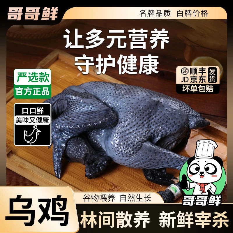哥哥鲜农村山林散养乌鸡土鸡走地鸡生鲜滋养人参乌骨鸡