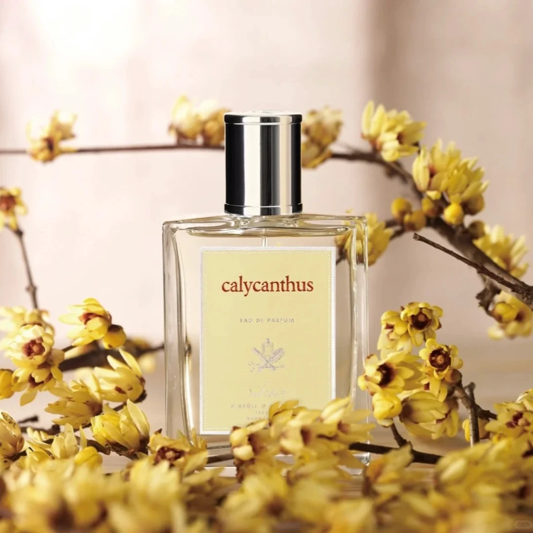 ACCA KAPPA/艾卡柏腊梅香型淡香精15ml/50ml