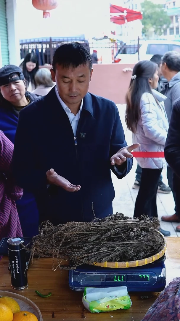 中国大陆车前草1斤