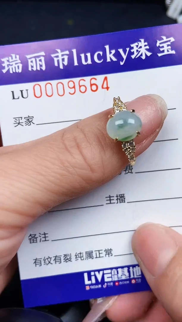 翡翠银S925镶嵌颈饰9664