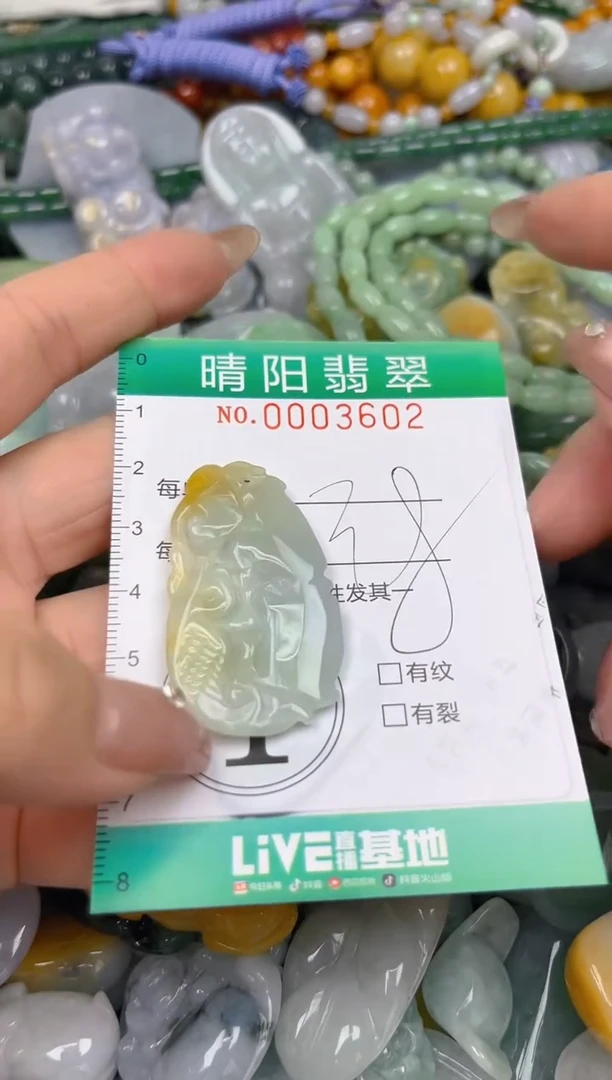 颈饰未镶嵌翡翠闪购0003602
