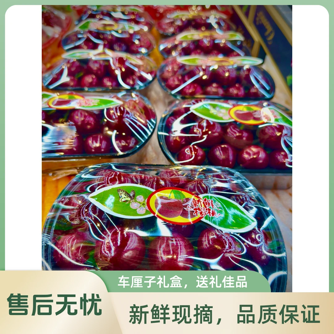【同城小时达】大连美早 大樱桃 3J 独享装（250g左右）