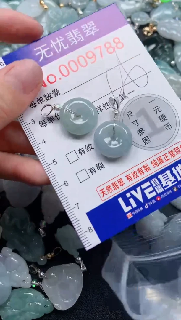 颈饰未镶嵌翡翠9788