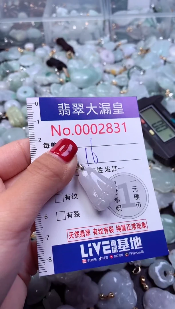 颈饰未镶嵌翡翠2831