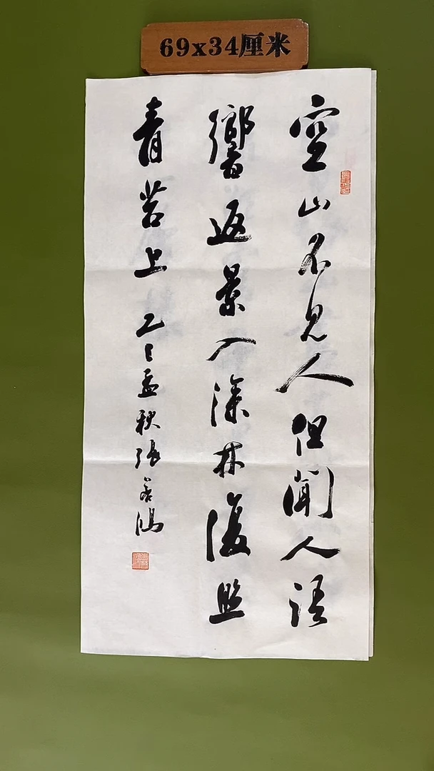 书法书法 张若鸿 尺寸69cm*34cm