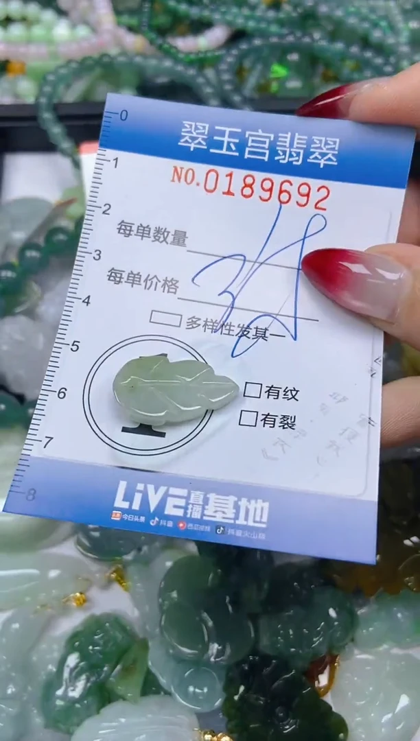 颈饰未镶嵌翡翠闪购0189692