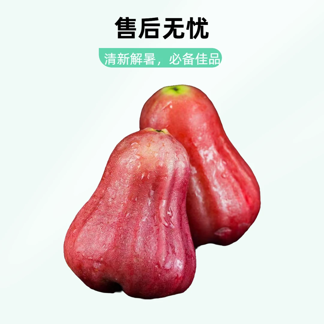 【顺丰冷链】黑金刚莲雾海南三亚多汁清甜孕妇新鲜水果包邮1/2/3斤黑金刚莲雾福建省