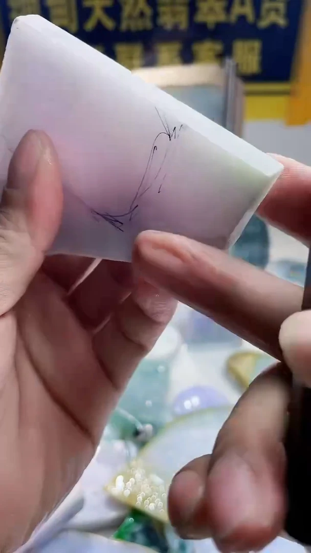 翡翠未镶嵌颈饰翡翠510