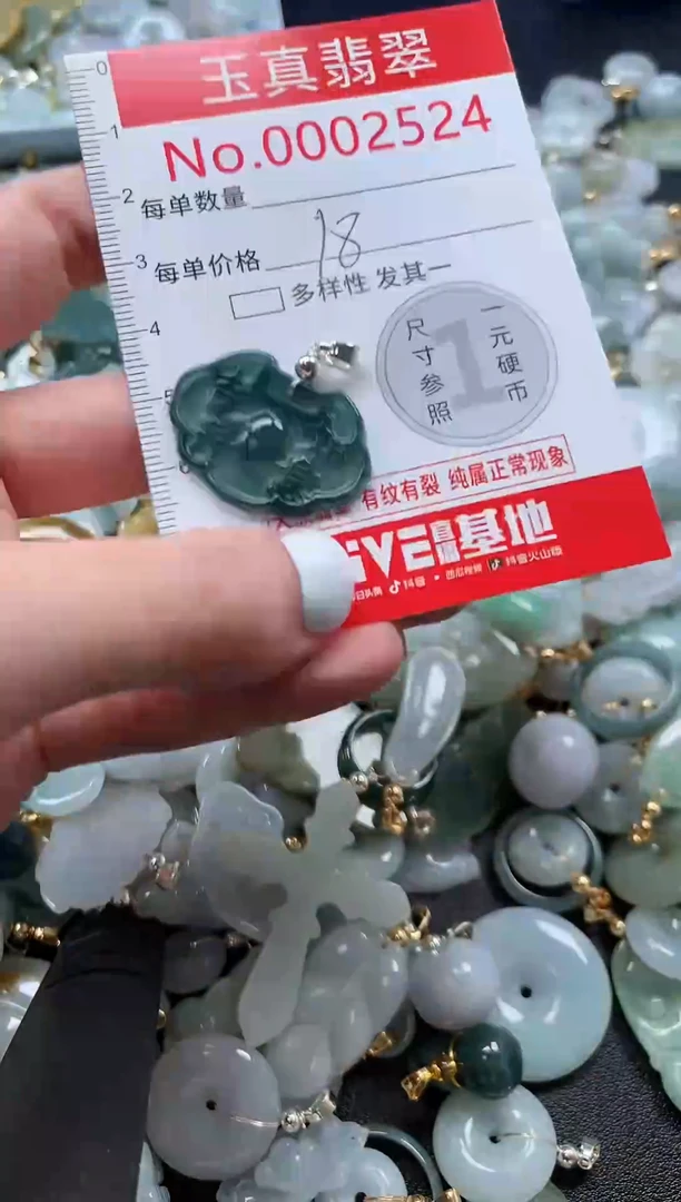 翡翠未镶嵌吊坠(不含链)2524