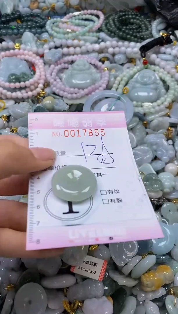 翡翠未镶嵌颈饰闪购0017855