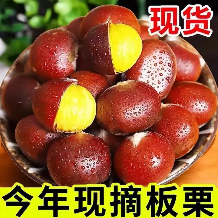 【买三斤送二斤】高山老树新鲜板栗粉糯香甜送开口器栗爪坏果包赔