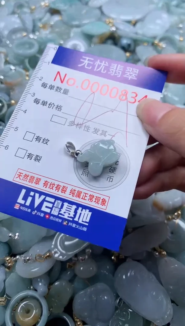 翡翠未镶嵌吊坠(不含链)834