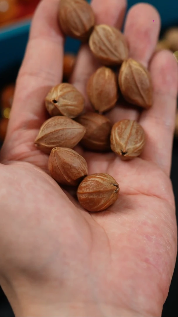 橄榄核手串/手链老料1724铁素核