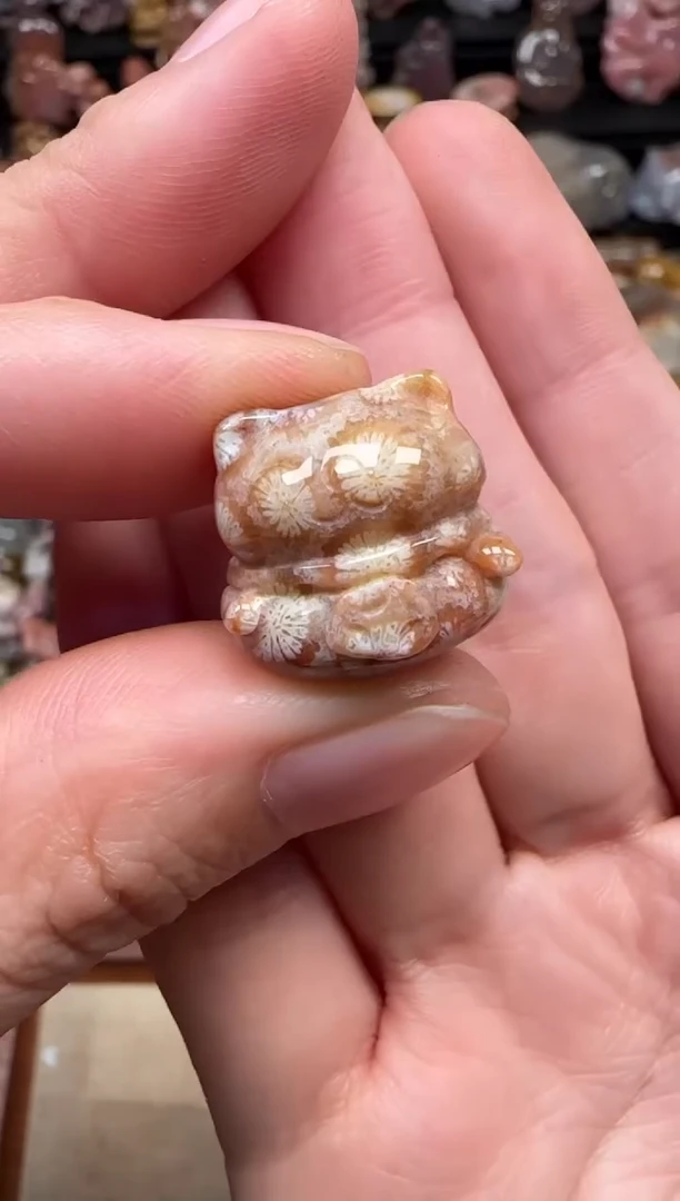 颈饰未镶嵌硅化珊瑚（珊瑚玉）166