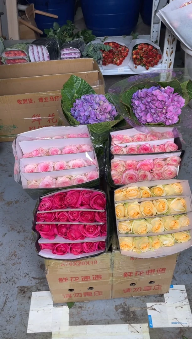 单头玫瑰40枝( 任意2个品种）+小绣球1枝（任意色）