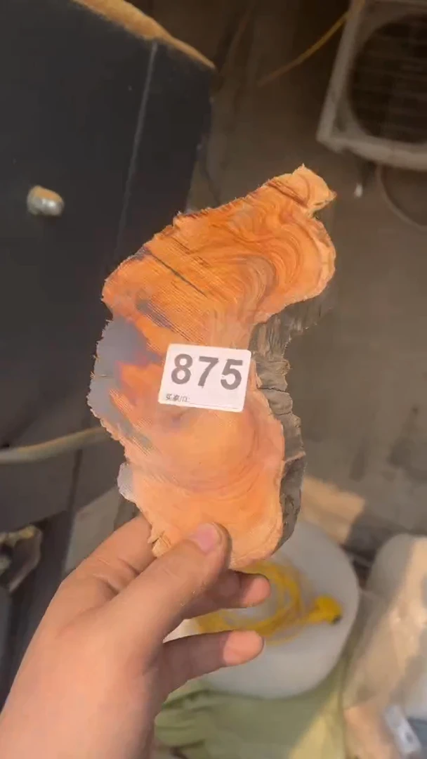 【闪购商品】柏木（崖柏）太行山陈化崖柏（津诚林）切片