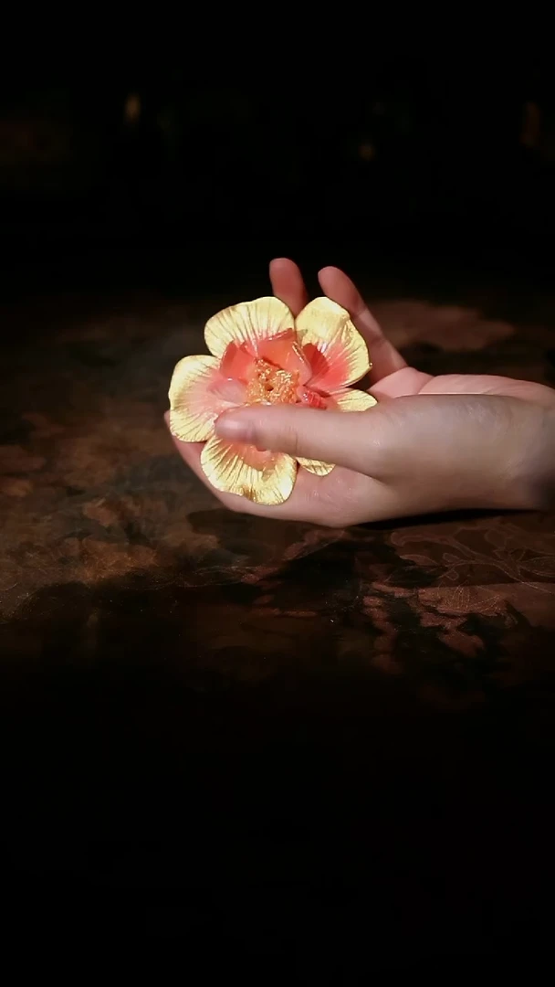 筑瓷山坊专属直播链接@@A12336