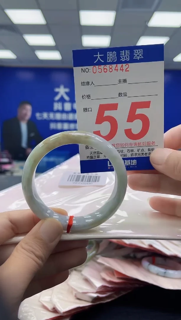 未镶嵌手镯翡翠AAAAAAAAAA