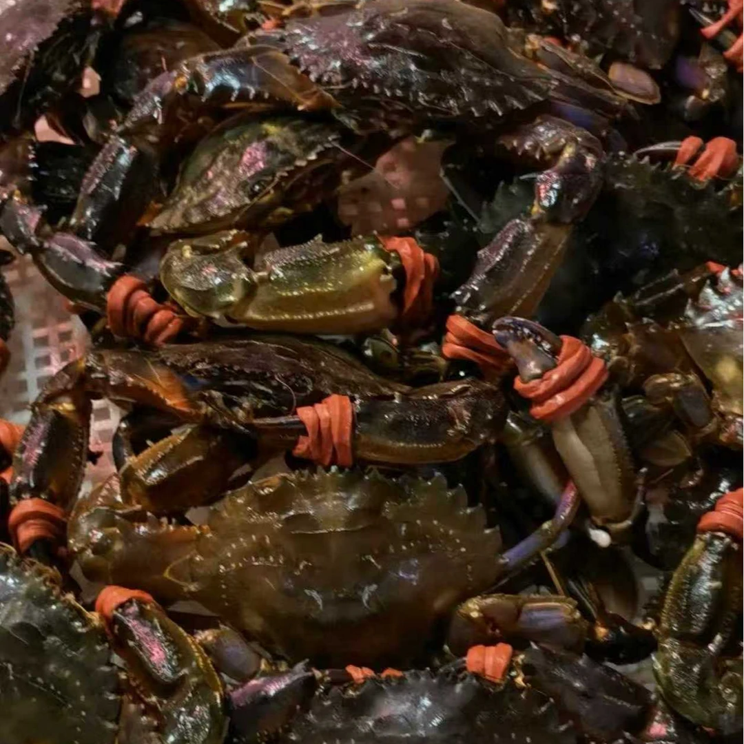 【鲜活超肥】赤甲红二斤【个个挑肥保肥保活】