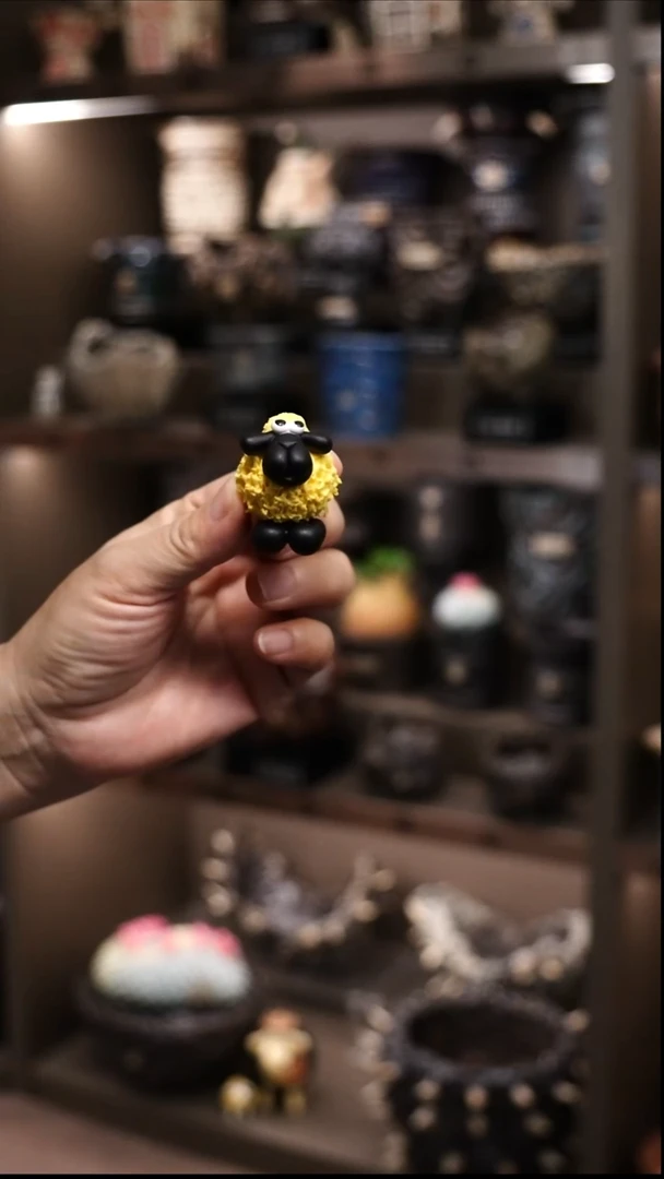 Y****定泰国进口手工花盆个性创意花盆