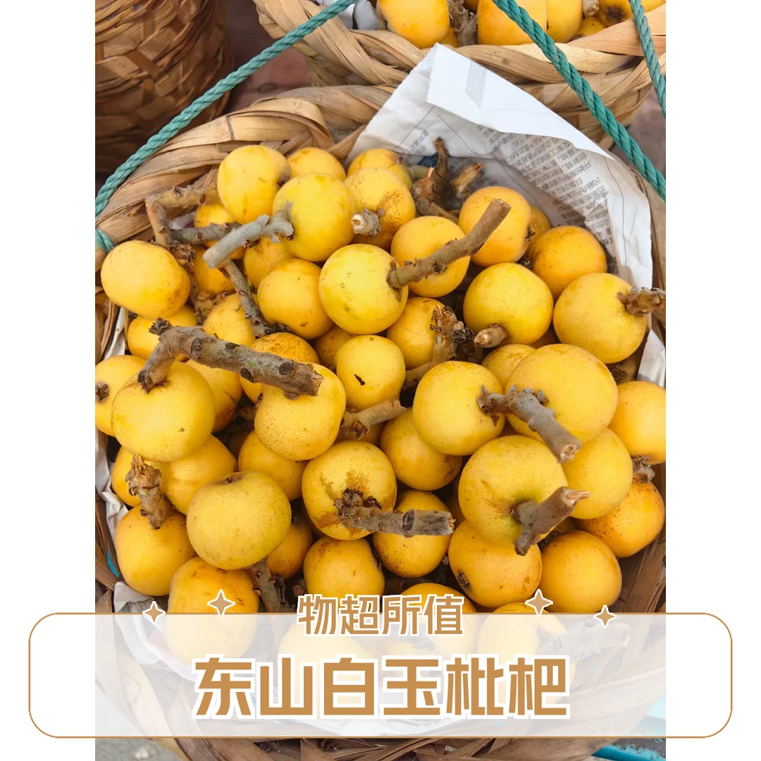 东山白玉枇杷18g江苏省