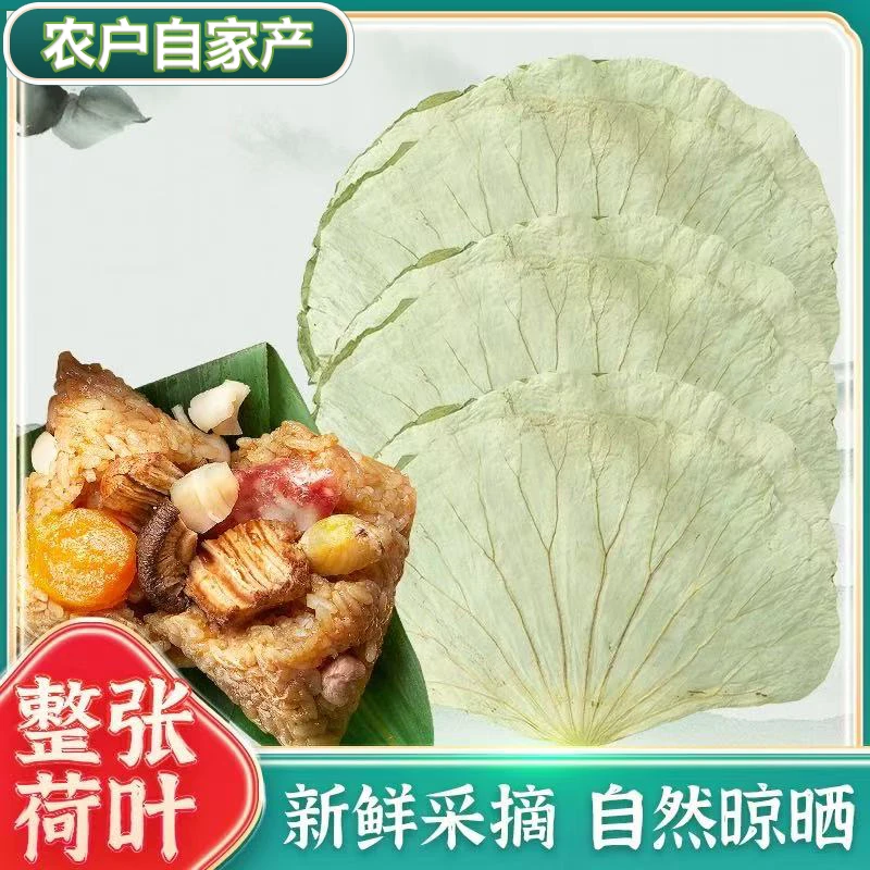 江西广昌白莲之乡大张干荷叶糯米鸡荷叶荷叶饭酒坛荷叶零售 批发