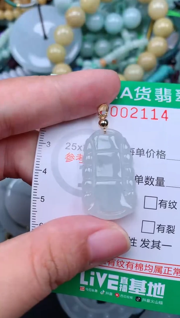 翡翠未镶嵌颈饰.0002114