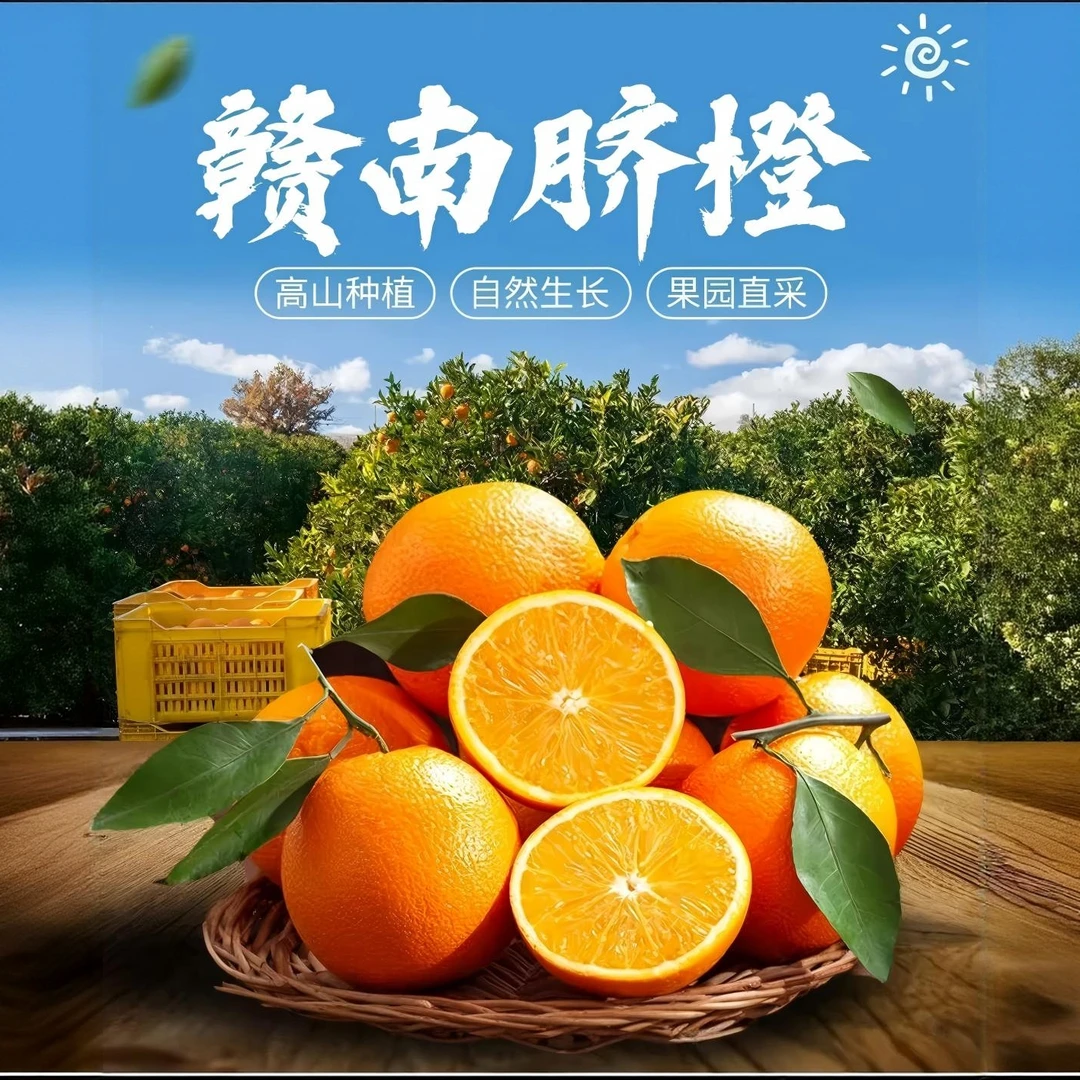 【产地直发】正宗赣南脐橙新鲜采摘香甜多汁头茬鲜果孕妇赣州安远O