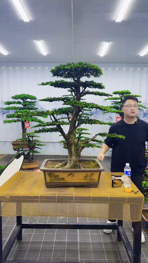 无花朵百***子0000000000000000