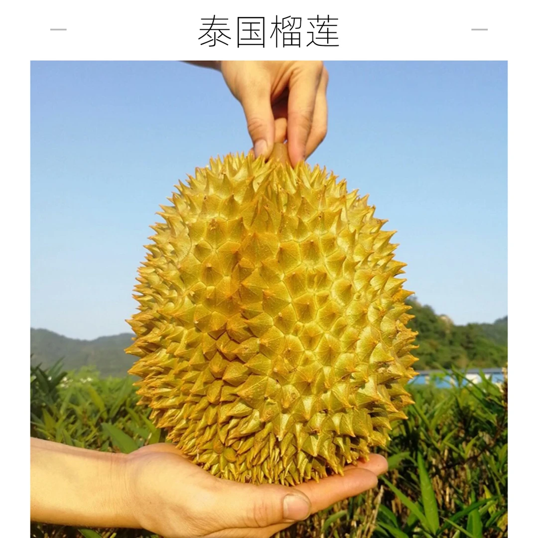 泰国干尧榴莲新鲜1斤干尧泰国