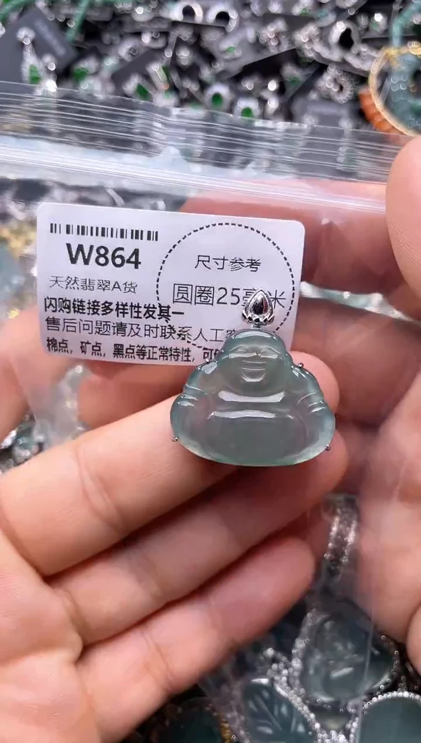 翡翠未镶嵌颈饰W864吊坠