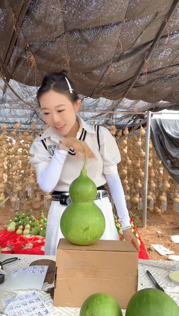 179天然葫芦摆件 一物一拍龙头不保售后